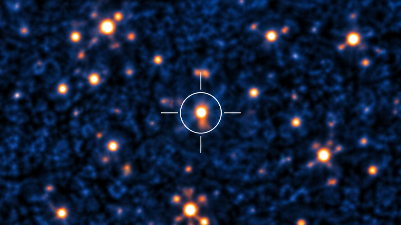 Radio image of a crowded transient field with a marked new source