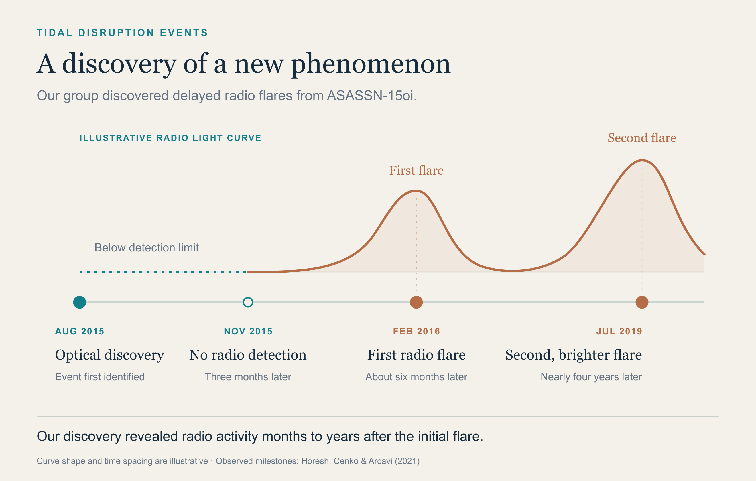 Illustrative radio light curve of ASASSN-15oi: optical discovery in August 2015, no radio detection in November 2015, a first radio flare in February 2016, and a second, brighter flare in July 2019